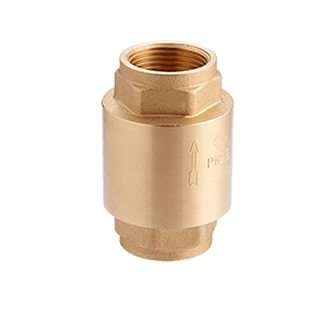 Check valve with brass core reinforced MVI 1``  (CV.425.06)